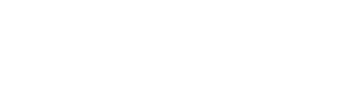 Bonuz Logo